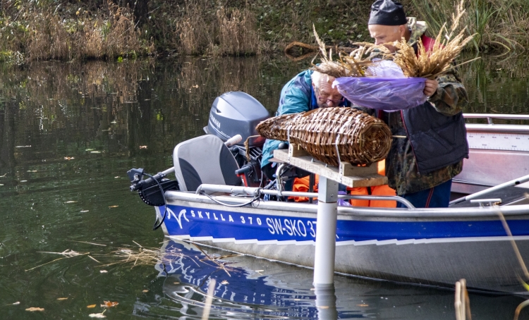Pierwszy kosz lęgowy dla kaczek na zalewie rejowskim