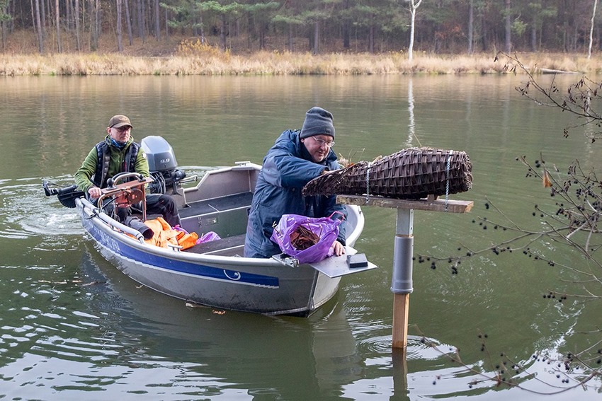 Kolejne kosze lęgowe dla kaczek na zalewie rejowskim
